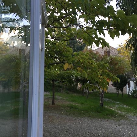 Camping Les Orangers San-Martino-di-Lota 部屋 写真