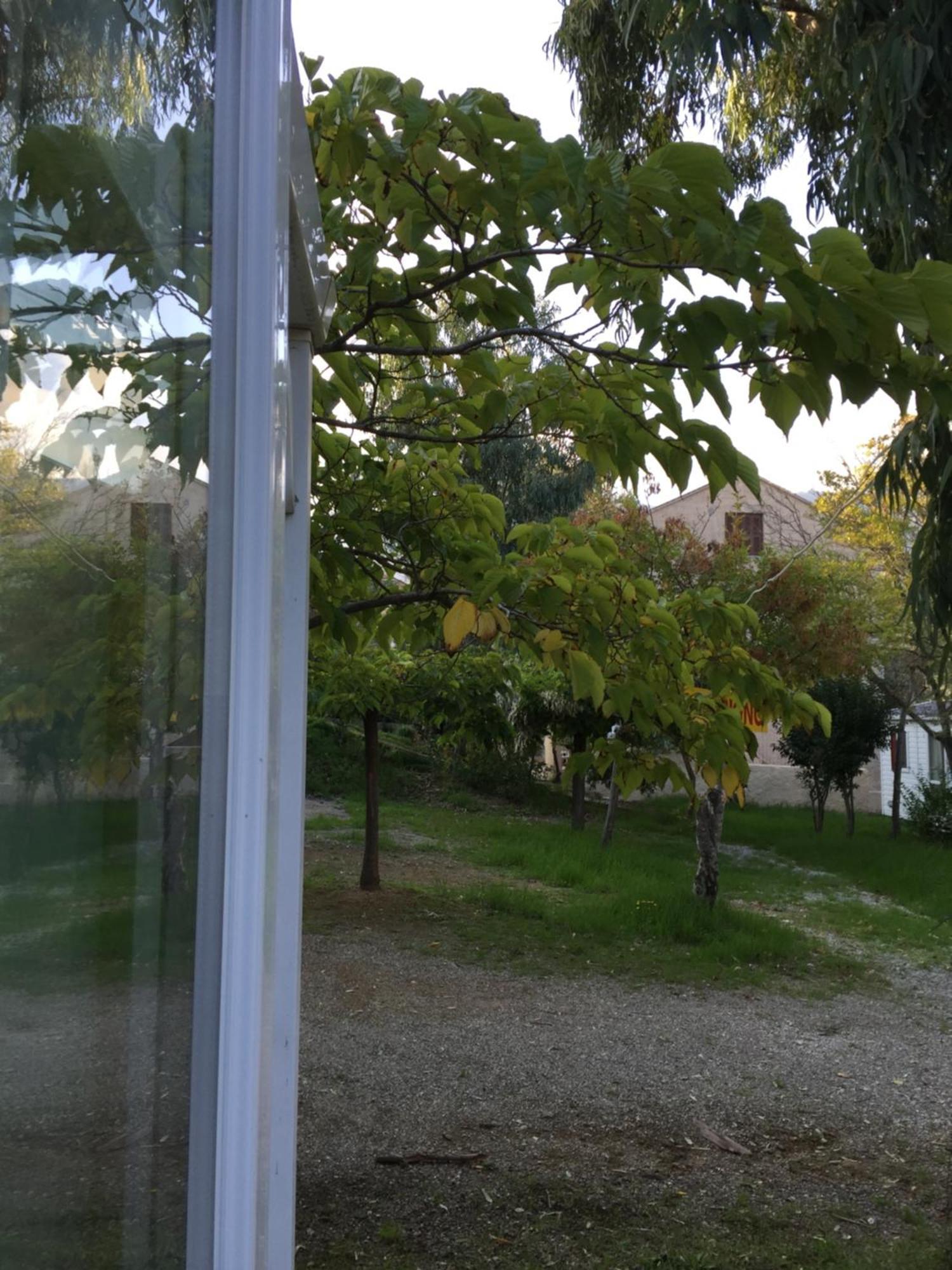 Camping Les Orangers San-Martino-di-Lota 部屋 写真