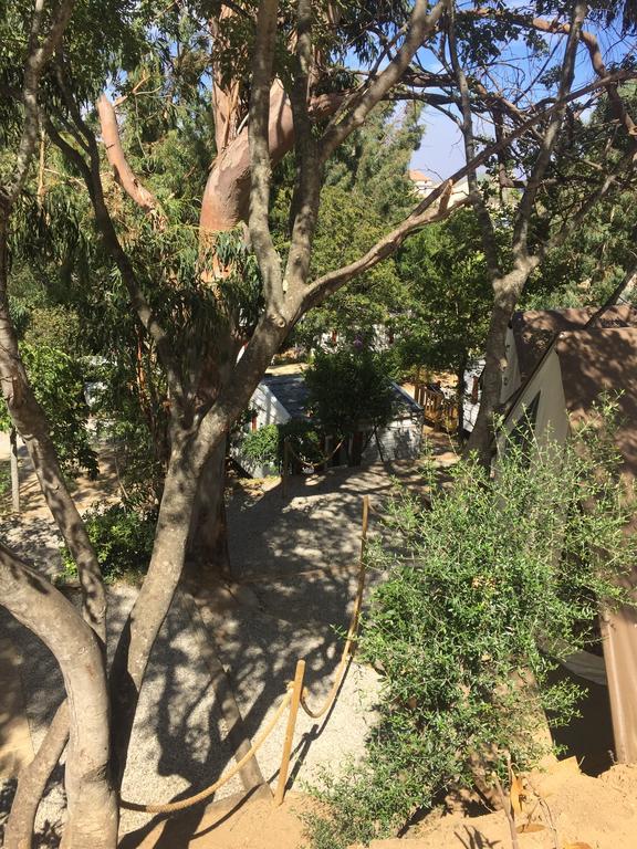 Camping Les Orangers San-Martino-di-Lota エクステリア 写真