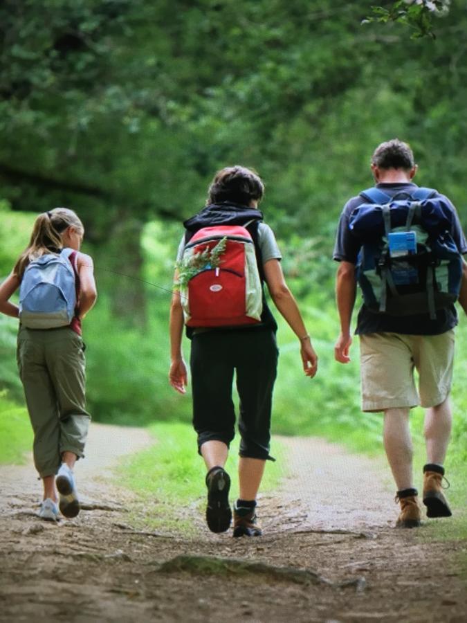 Camping Les Orangers San-Martino-di-Lota エクステリア 写真