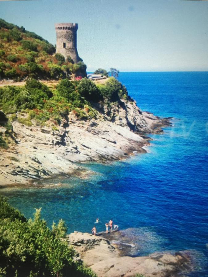 Camping Les Orangers San-Martino-di-Lota エクステリア 写真